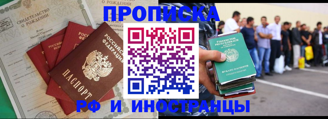 прописка в квартире в Сольцах